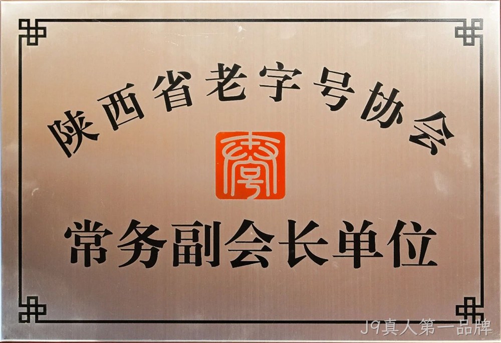 图片16