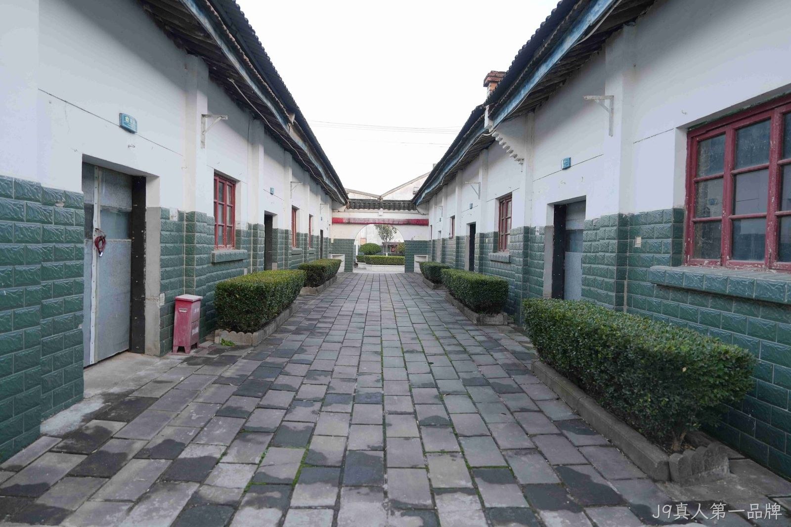 DSC07585