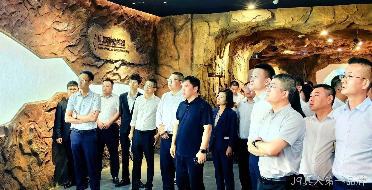 图片13 图片13
