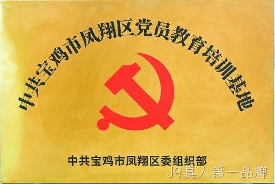 图片29 图片29