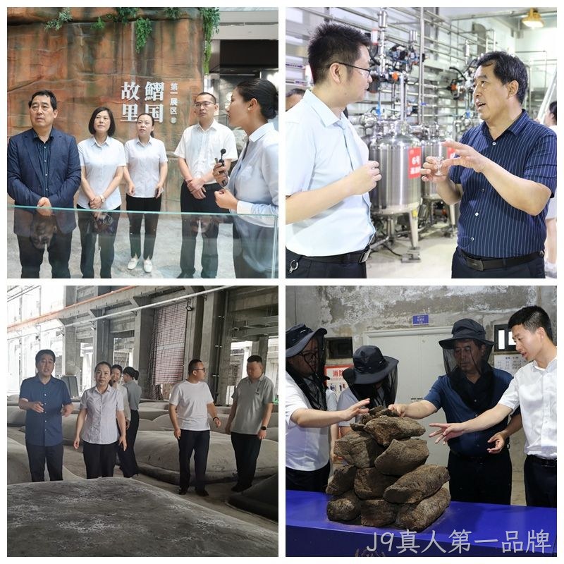 图片17 图片17