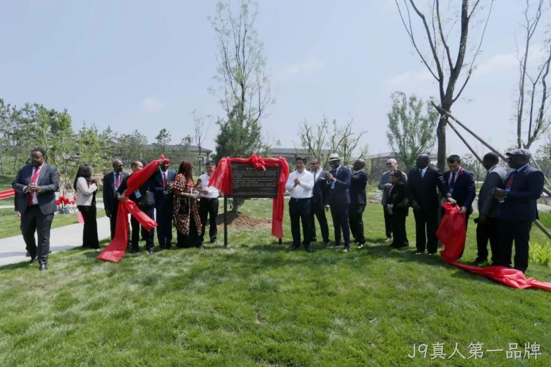 图片5 图片5